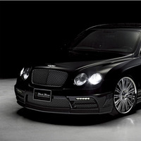 Обвес комплект WALD Black Bison BENTLEY Continental