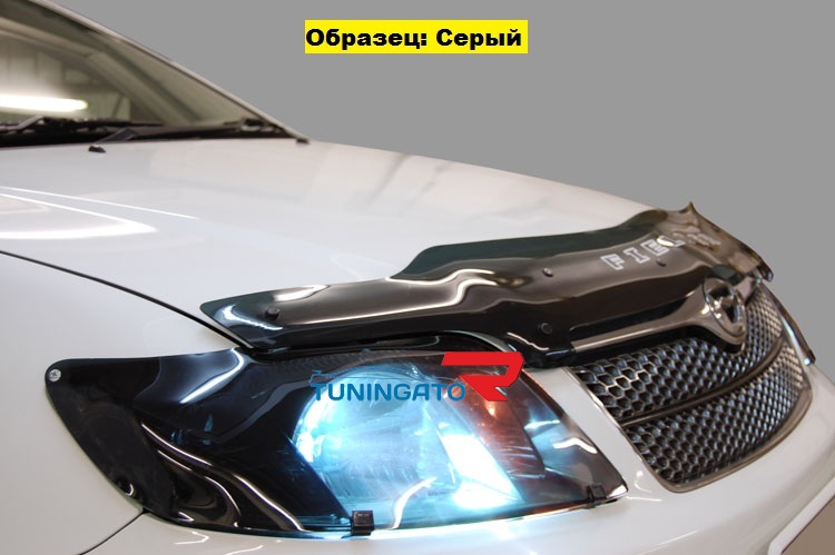 Очки тойота ипсум